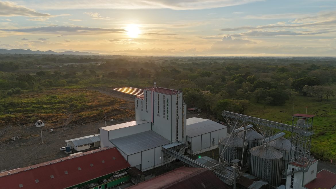 Planta de alimentos concentrados Cooleche