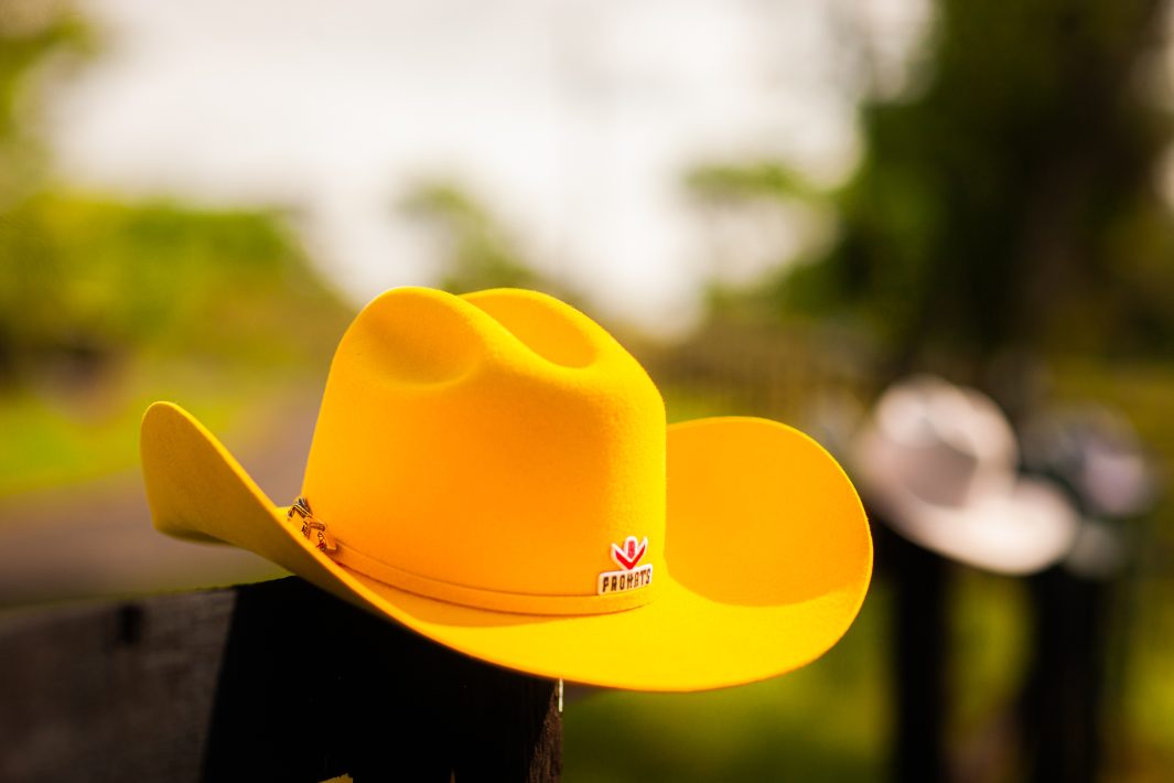 ProHats - Boutique Cooleche