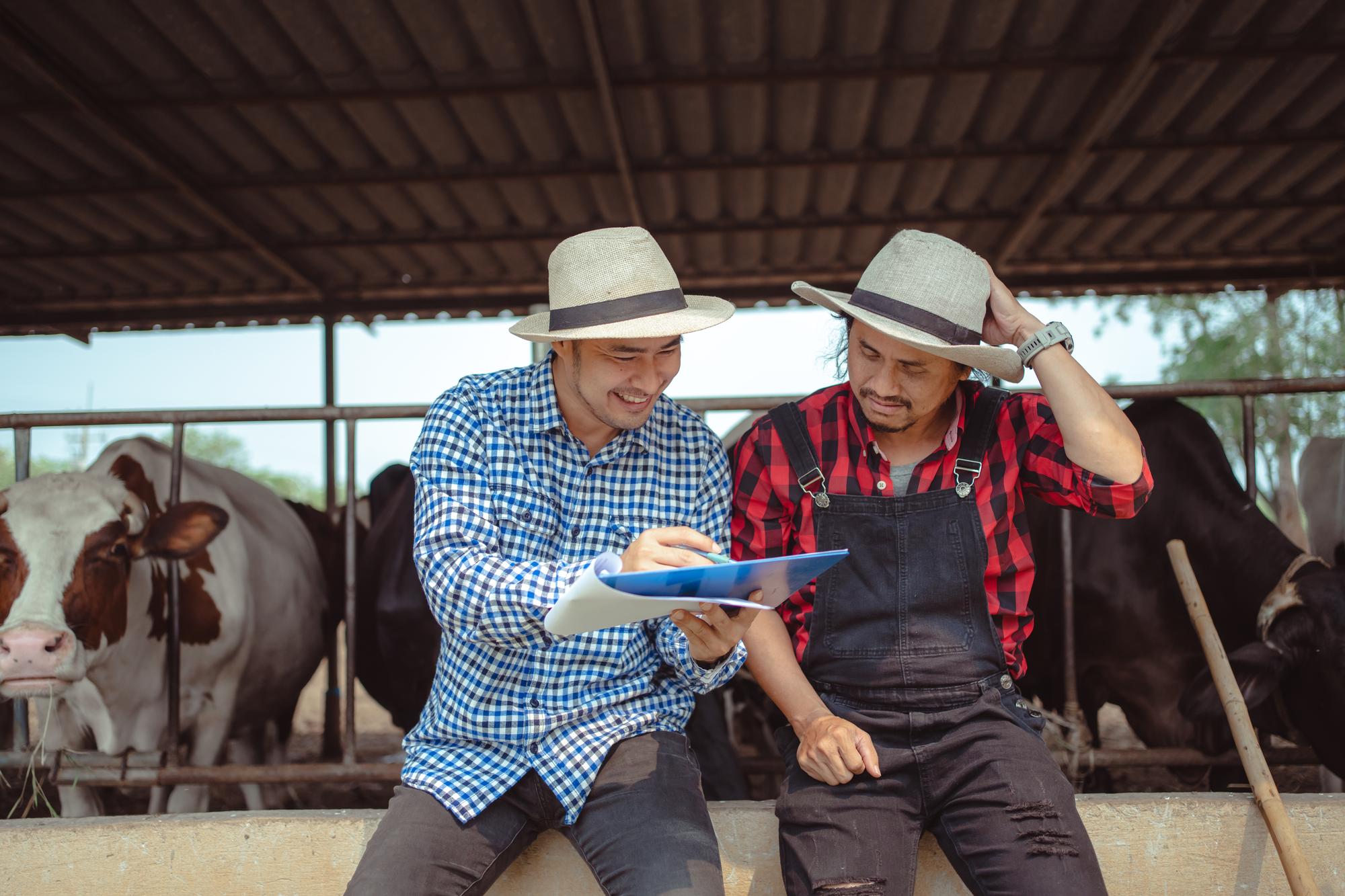 Asistencia técnica agropecuaria en Chiriquí: Cómo COOLECHE acompaña a sus asociados para mejorar la producción en finca