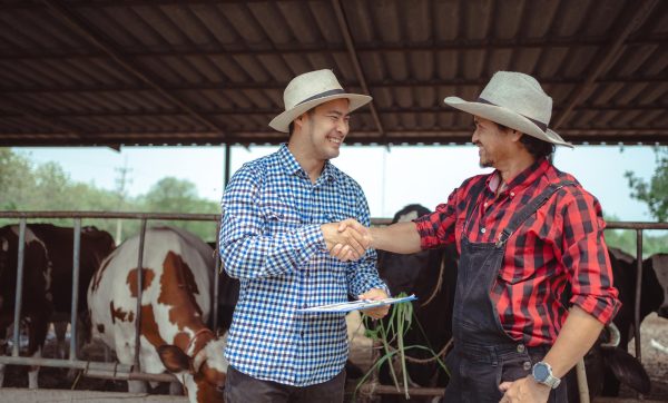 Asistencia_t_cnica_agropecuaria_en_Chiriqu___C_mo_COOLECHE_a-portada-1 Asistencia técnica agropecuaria en Chiriquí | COOLECHE